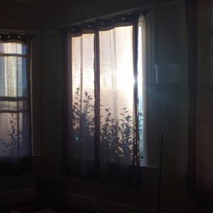 目黑惠AV在线播放免费
